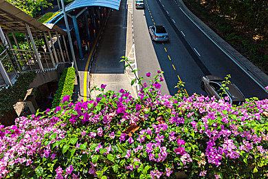 如龙工作室直播节目9月8日播出 或将公布新作预告